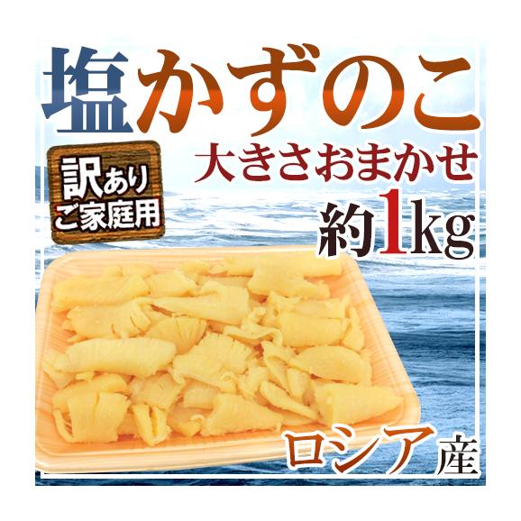 &rdquo;ロシア産 塩数の子 訳あり 約1kg&rdquo; 大きさおまかせ かずのこ【ポスト投函送料無料】【予約 11月下旬以降】01