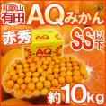 和歌山産 &rdquo;有田AQみかん&rdquo; 赤秀品 SS以下 約10kg 有田みかん【予約 11月末以降】 送料無料