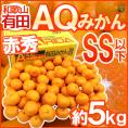 和歌山産 &rdquo;有田AQみかん&rdquo; 赤秀品 SS以下 約5kg 有田みかん【予約 11月末以降】 送料無料