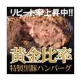 黒豚/黒豚生ハンバーグ3/ 冷凍 鹿児島 業務用 作り方 クチコミ　黒豚生ハンバーグ３個セット