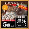 送料無料 黒豚生ハンバーグ 冷凍  業務用 /黒豚ハンバーグ5個/セット