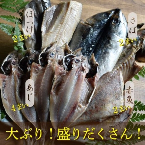 《緑茶干し》干物詰め合わせセット （4種 10枚）ホッケ・あじ・赤魚・鯖02