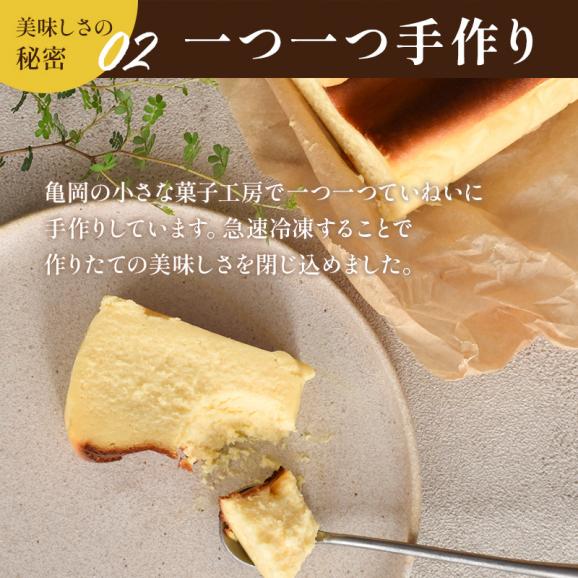 【冷凍】白味噌バスクチーズケーキ | チーズケーキ バスクチーズケーキ バスチー 取り寄せスイーツ ギフト 大人スイーツ 白味噌 味噌スイーツ 和スイーツ 京都スイーツ 発酵スイーツ 04