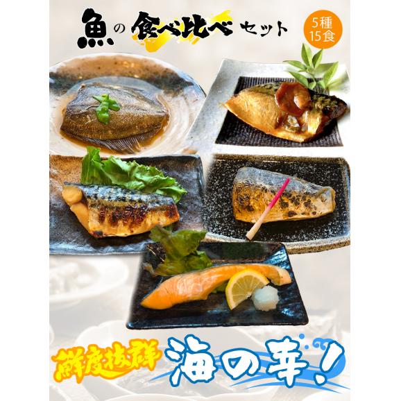 5種15食魚の食べ比べセット【9,390円以上相当】 カレイの煮つけ(3) 焼鮭(3) 鯖の生姜煮(3) さわら西京漬(3) さば西京漬(3)02
