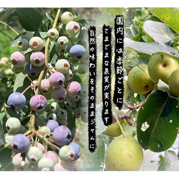 自家製ジャム選べる2本セット(140gx2)　手作りジャム　国産　ギフト　贈り物　プレセント　健康　人気02