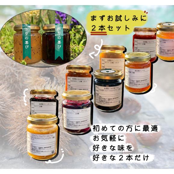 自家製ジャム選べる2本セット(140gx2)　手作りジャム　国産　ギフト　贈り物　プレセント　健康　人気03