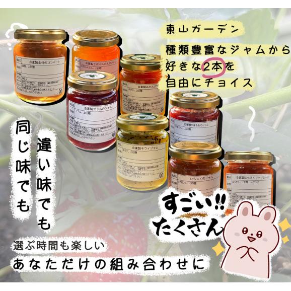 自家製ジャム選べる2本セット(140gx2)　手作りジャム　国産　ギフト　贈り物　プレセント　健康　人気04