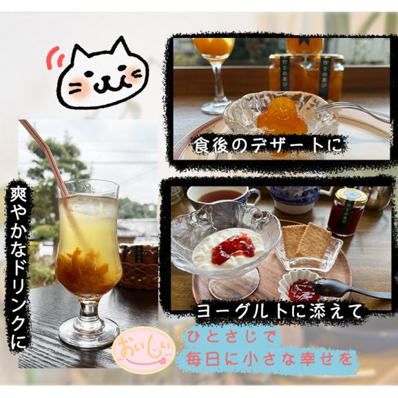 自家製ジャム選べる2本セット(140gx2)　手作りジャム　国産　ギフト　贈り物　プレセント　健康　人気06