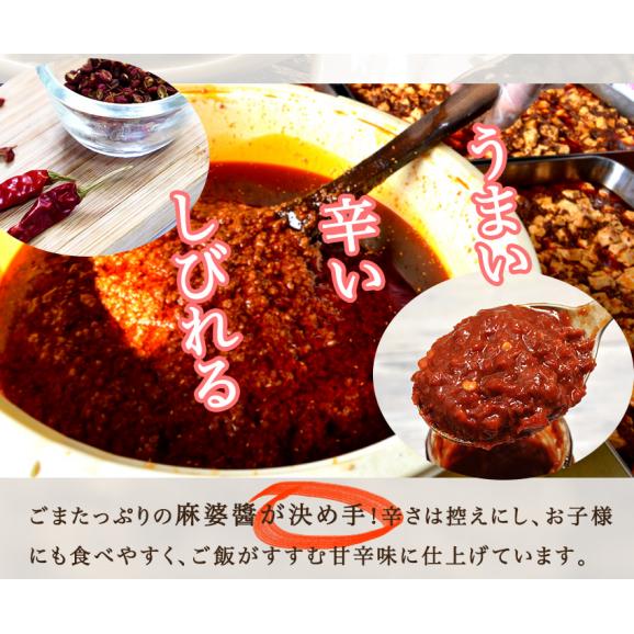 麻婆豆腐 ギフト 惣菜 お惣菜 おかず お試し セット 冷凍 お弁当 詰め合わせ 食品 煮物  ギフト 手作り京惣菜 肉 魚 野菜 和風 洋風 中華  贈り物に大好評 お試し03