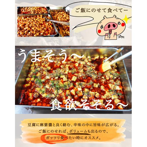 麻婆豆腐 ギフト 惣菜 お惣菜 おかず お試し セット 冷凍 お弁当 詰め合わせ 食品 煮物  ギフト 手作り京惣菜 肉 魚 野菜 和風 洋風 中華  贈り物に大好評 お試し05