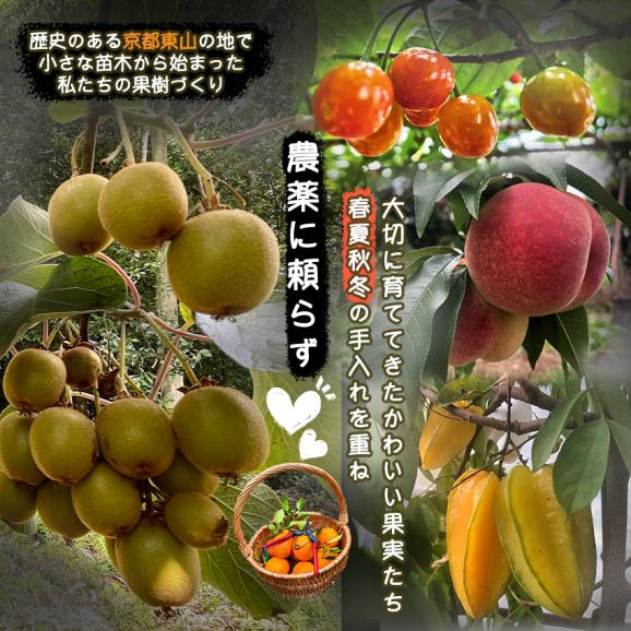 自家製ジャム選べる4本セット(140gx4)　手作りジャム　国産　ギフト　贈り物　プレセント　健康　人気02