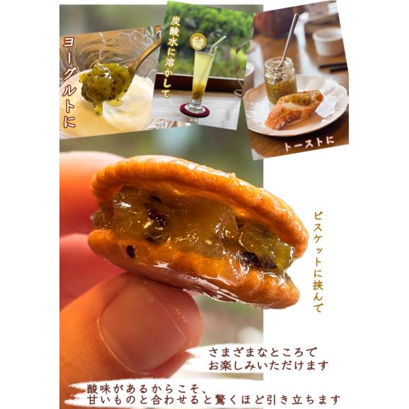 自家製キウイジャム2本セット(140gx2)　手作りジャム　国産　自家製　ギフト　贈り物　プレセント　健康　人気06