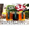 自家製ジャム選べる3本セット(140gx3) 手作りジャム 国産 ギフト 贈り物 プレセント 健康 人気