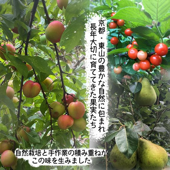 自家製ジャム選べる6本セット(140gx6) 手作りジャム 国産 ギフト 贈り物 プレセント 健康 人気02