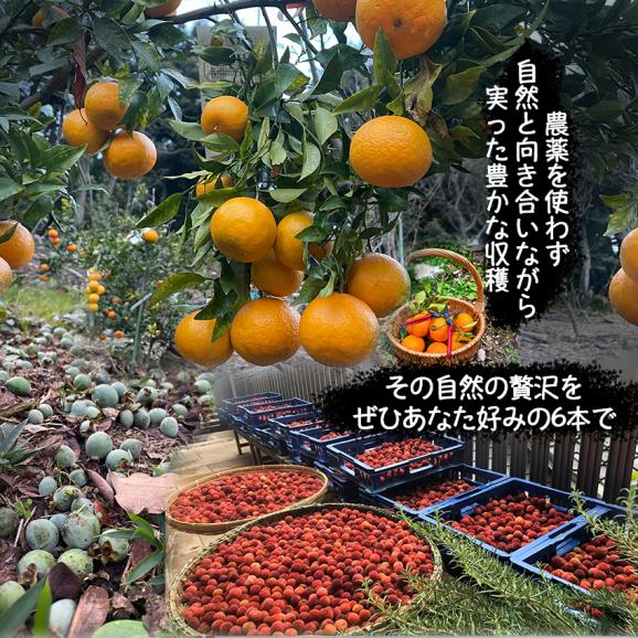 自家製ジャム選べる6本セット(140gx6) 手作りジャム 国産 ギフト 贈り物 プレセント 健康 人気03
