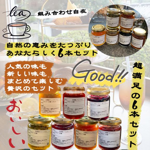 自家製ジャム選べる6本セット(140gx6) 手作りジャム 国産 ギフト 贈り物 プレセント 健康 人気04