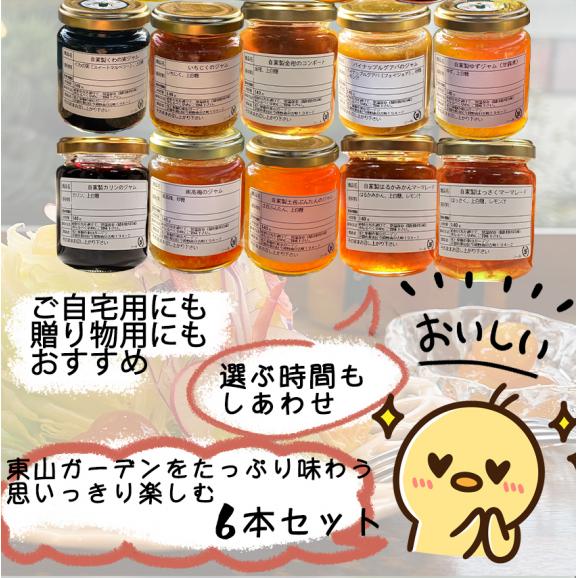 自家製ジャム選べる6本セット(140gx6) 手作りジャム 国産 ギフト 贈り物 プレセント 健康 人気05