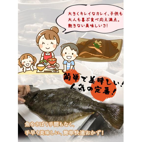 カレイの煮つけ ギフト 惣菜 お惣菜 おかず お試し セット 冷凍 お弁当 詰め合わせ 食品 煮物  ギフト 手作り京惣菜 肉 魚 野菜 和風 洋風 中華  贈り物に大好評 お試し04