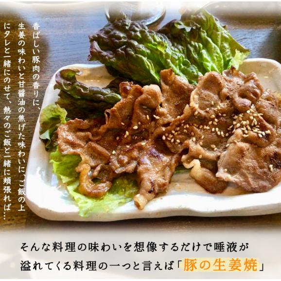 豚生姜焼き ギフト 惣菜 お惣菜 おかず お試し セット 冷凍 お弁当 詰め合わせ 食品 煮物  ギフト 手作り京惣菜 肉 魚 野菜 和風 洋風 中華  贈り物に大好評 お試し03