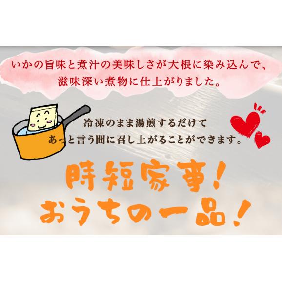 いか大根 ギフト 惣菜 お惣菜 おかず お試し セット 冷凍 お弁当 詰め合わせ 食品 煮物  ギフト 手作り京惣菜 肉 魚 野菜 和風 洋風 中華  贈り物に大好評 お試し05