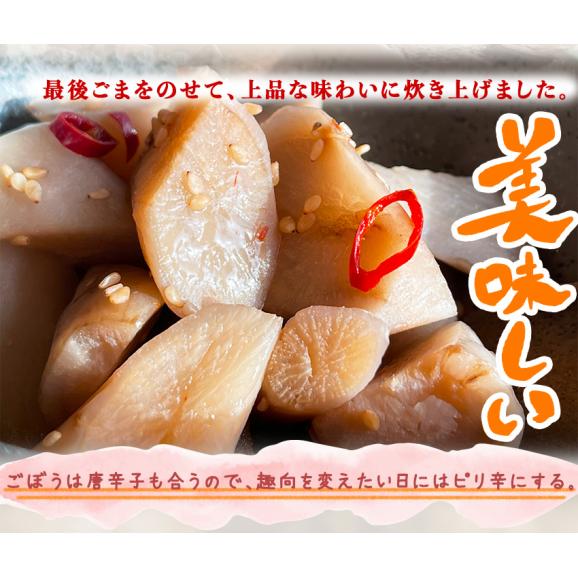 ごぼうの胡麻ピリ辛 ギフト 惣菜 お惣菜 おかず お試し セット 冷凍 お弁当 詰め合わせ 食品 煮物  ギフト 手作り京惣菜 肉 魚 野菜 和風 洋風 中華  贈り物に大好評 お試し05