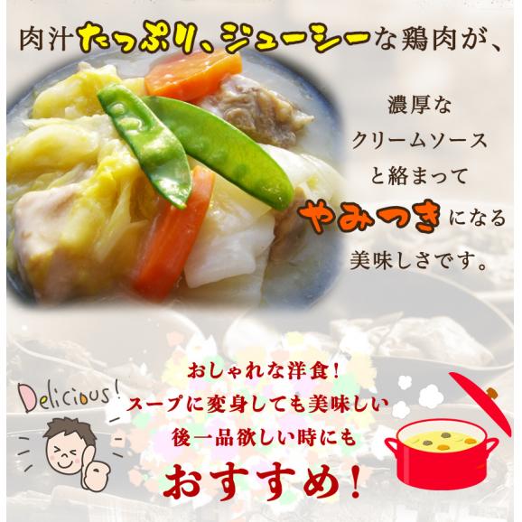 鶏肉と白菜のクリーム煮 ギフト 惣菜 お惣菜 おかず お試し セット 冷凍 お弁当 詰め合わせ 食品 煮物  ギフト 手作り京惣菜 肉 魚 野菜 和風 洋風 中華  贈り物に大好評 お試し06