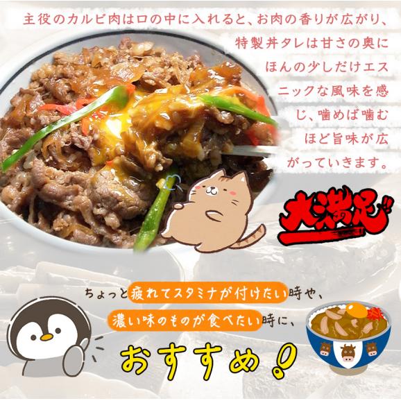 牛カルビ丼の具 ギフト 惣菜 お惣菜 おかず お試し セット 冷凍 お弁当 詰め合わせ 食品 煮物  ギフト 手作り京惣菜 肉 魚 野菜 和風 洋風 中華  贈り物に大好評 お試し06