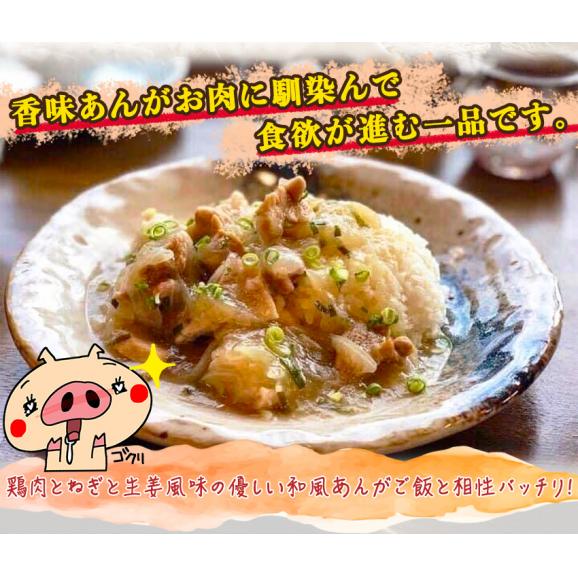 鶏のねぎ香味丼の具 ギフト 惣菜 お惣菜 おかず お試し セット 冷凍 お弁当 詰め合わせ 食品 煮物  ギフト 手作り京惣菜 肉 魚 野菜 和風 洋風 中華  贈り物に大好評 お試し05