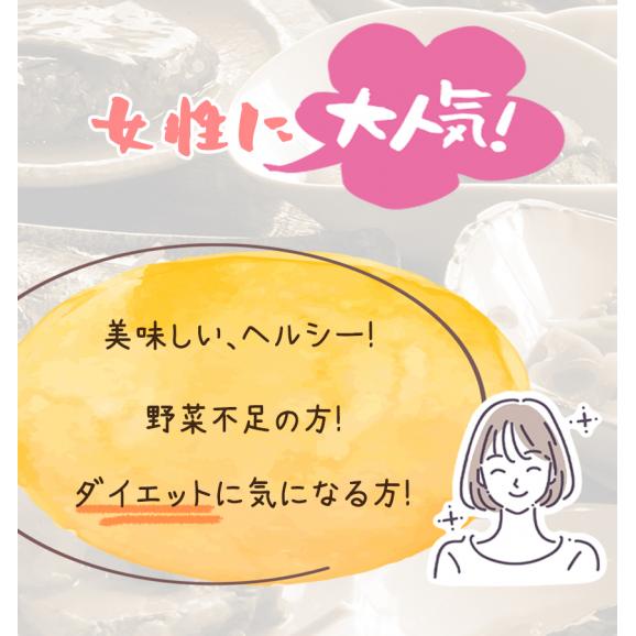 彩りごろごろ煮 ギフト 惣菜 お惣菜 おかず お試し セット 冷凍 お弁当 詰め合わせ 食品 煮物  ギフト 手作り京惣菜 肉 魚 野菜 和風 洋風 中華 煮物詰め合わせ 贈り物に大好評 お試し02