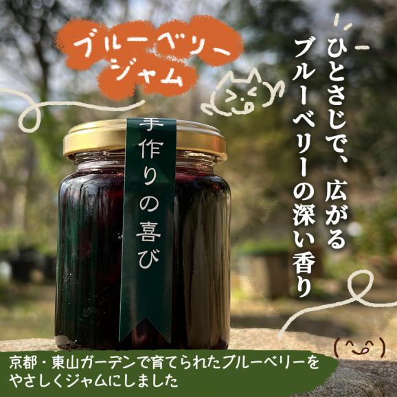 自家製ブルーベリージャム2本セット(140gx2)　手作りジャム　国産　自家製　ギフト　贈り物　プレセント　健康　人気02