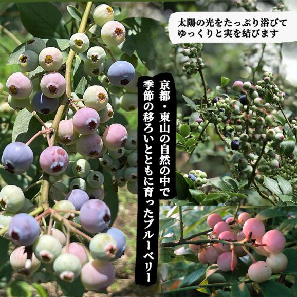 自家製ブルーベリージャム2本セット(140gx2)　手作りジャム　国産　自家製　ギフト　贈り物　プレセント　健康　人気03