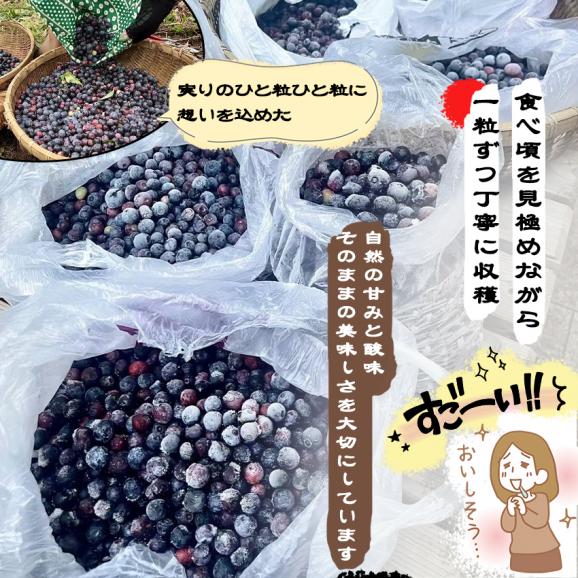 自家製ブルーベリージャム2本セット(140gx2)　手作りジャム　国産　自家製　ギフト　贈り物　プレセント　健康　人気04