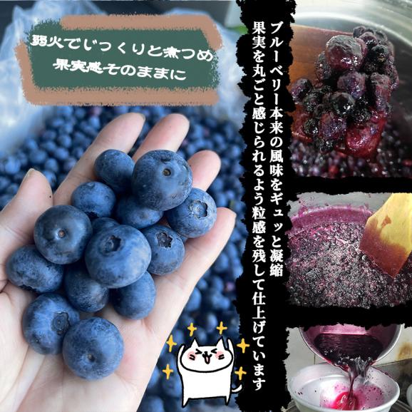 自家製ブルーベリージャム2本セット(140gx2)　手作りジャム　国産　自家製　ギフト　贈り物　プレセント　健康　人気05