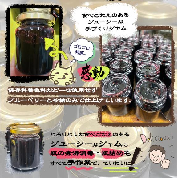 自家製ブルーベリージャム2本セット(140gx2)　手作りジャム　国産　自家製　ギフト　贈り物　プレセント　健康　人気06