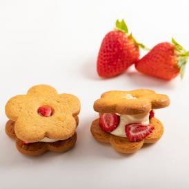 【オンライン限定】フルリール　バニラバタークリームといちご　いちごバタークリームとフランボワーズ