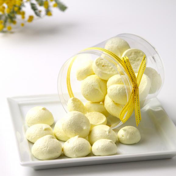 トロピカルメレンゲ02