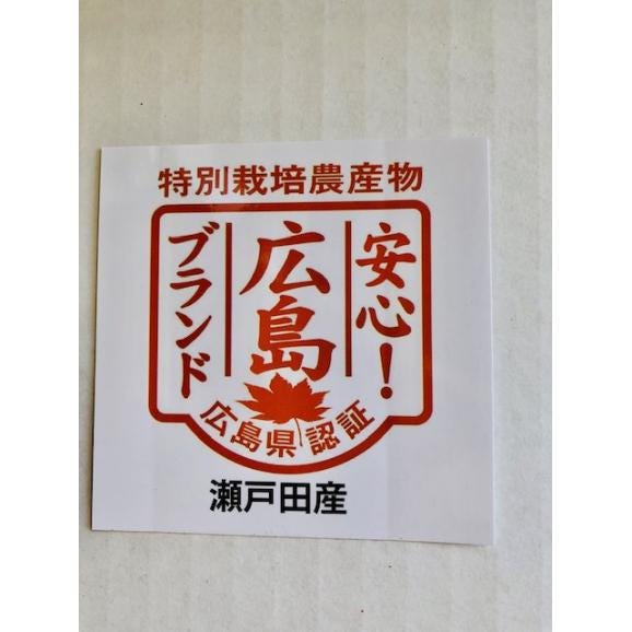 【送料無料】特別栽培(安心！広島ブランド）　　　皮まで安全安心な美味しい「瀬戸田レモン」【5kg】02