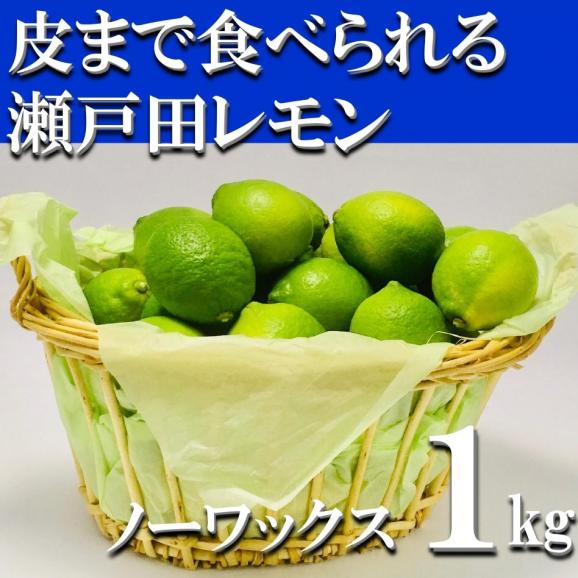 【送料無料】特別栽培　(安心！広島ブランド）　　　皮まで安全安心な美味しい「瀬戸田レモン」【1kg】01