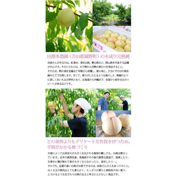 岡山県産清水白桃100％ 果実たっぷりとろけるような濃質食感 清水白桃ジュレ3個入04