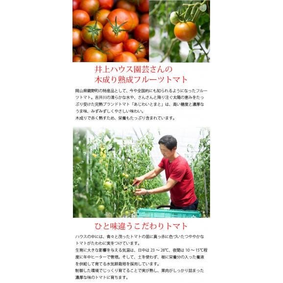 清水白桃・ピオーネ・フルーツトマトジュレ（6個入）05