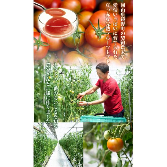 フルーツトマトのジュレ(12個入)03