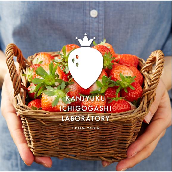完熟いちごジェラート5個セット（ストロベリー・チーズケーキ）04