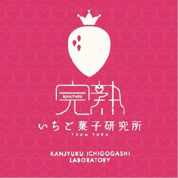 完熟いちごジェラート5個セット（ストロベリー・チーズケーキ）05