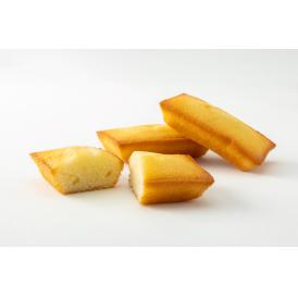 バターフリアン 【5個セット】