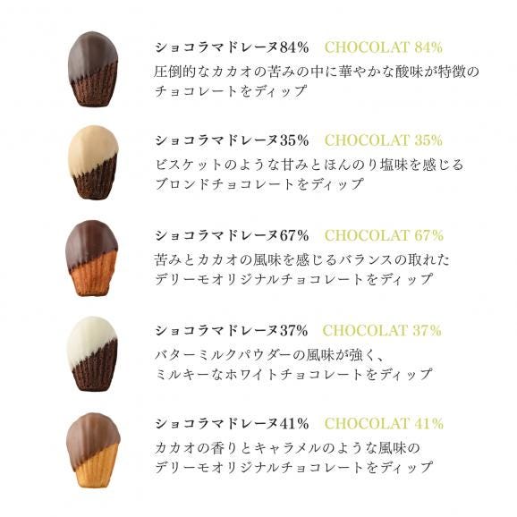  ショコラマドレーヌ10個セット02