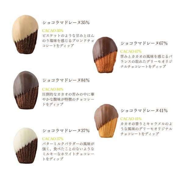  ショコラマドレーヌ10個セット05
