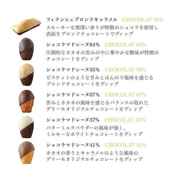 ショコラマドレーヌ・フィナンシェブロンドアソート10個セット02