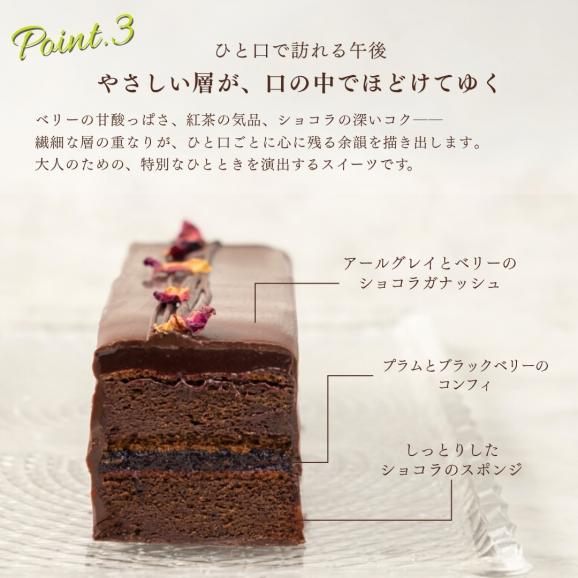 ティーベリー/チョコレートケーキ04