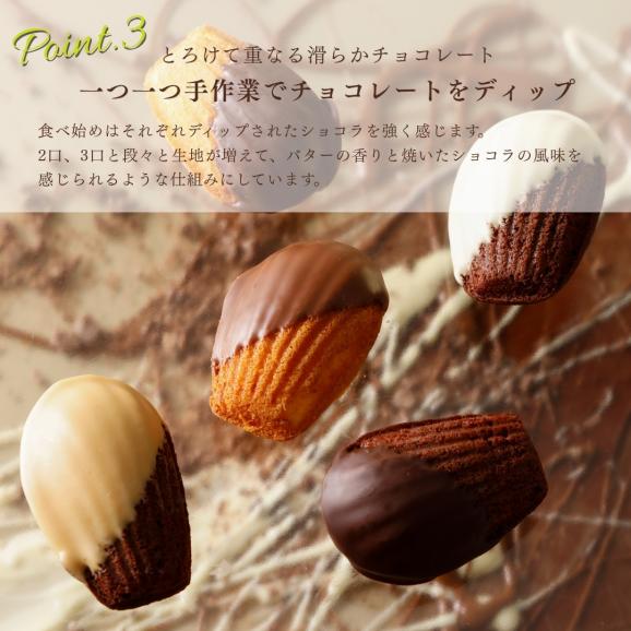  ショコラマドレーヌ25個セット04