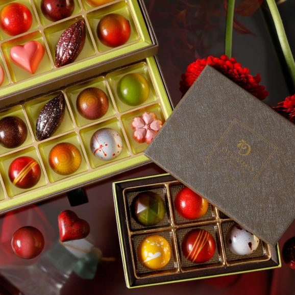 ショコラアソート605